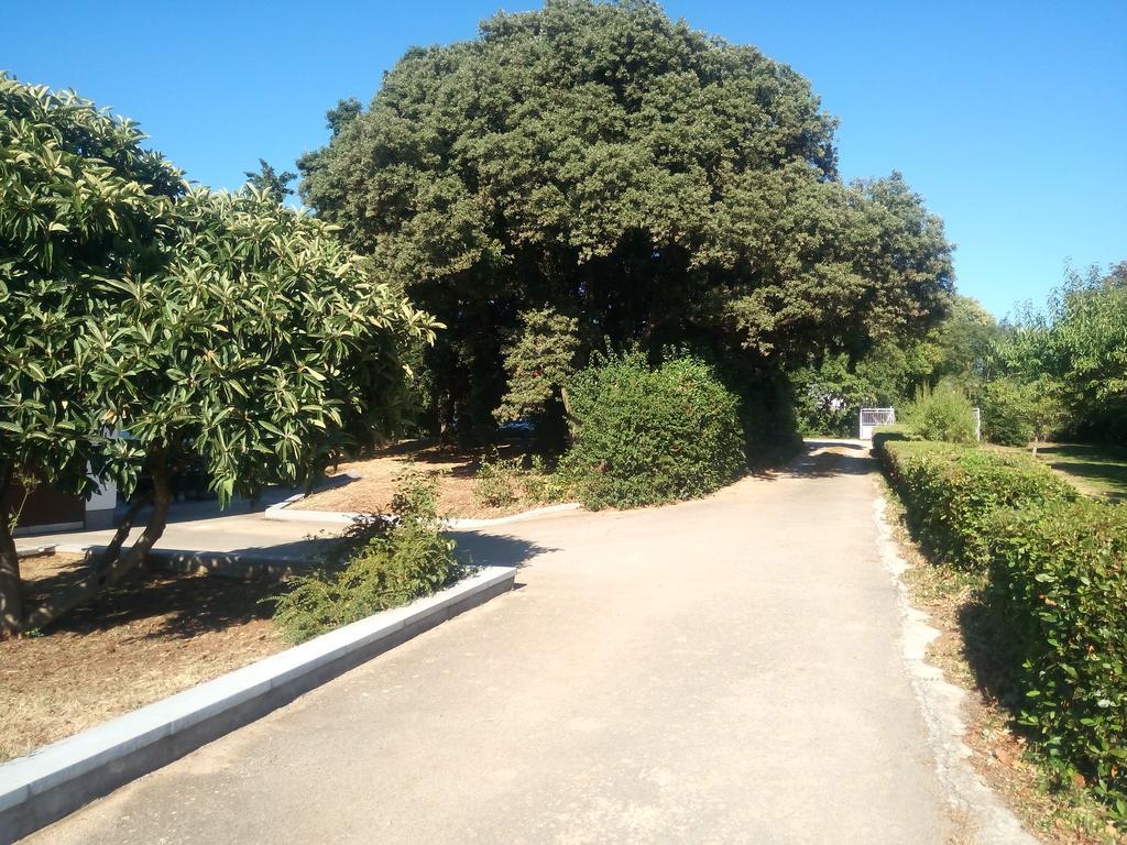 Lidija Apartment
