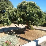 Apartment Lidija